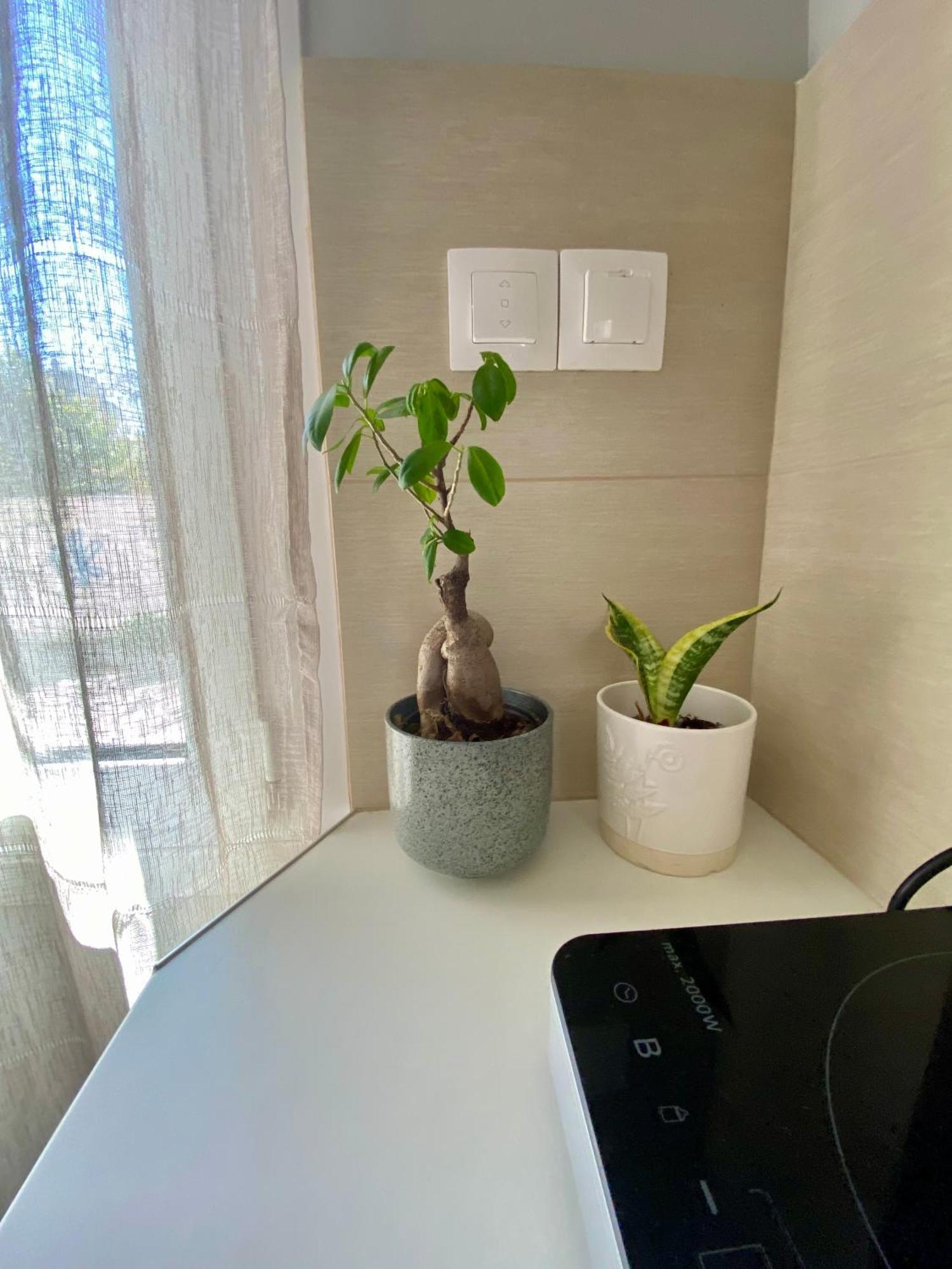 Mesolóngion Xrysa'S Central City Apartment מראה חיצוני תמונה